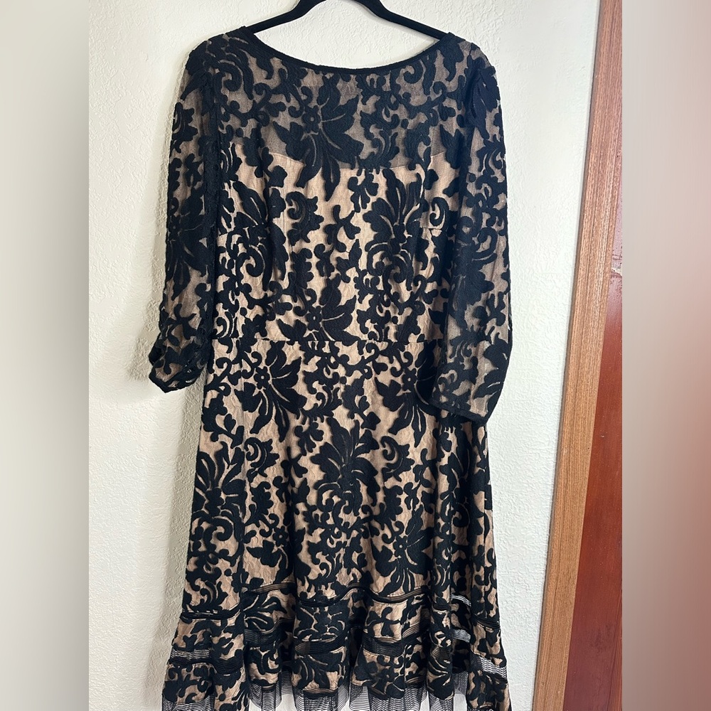 Tadashi Shoji Black and Cream Lace Dress